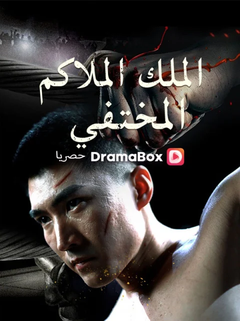 الملك الملاكم المختفي مدبلج