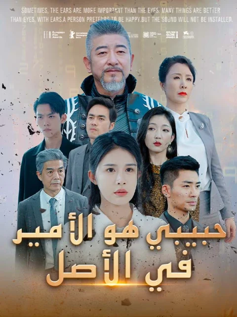حبيبي هو الأمير في الأصل مدبلج