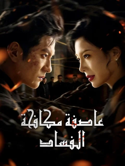 عاصفة مكافحة الفساد