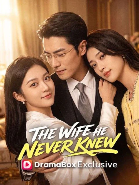 The Wife He Never Knew