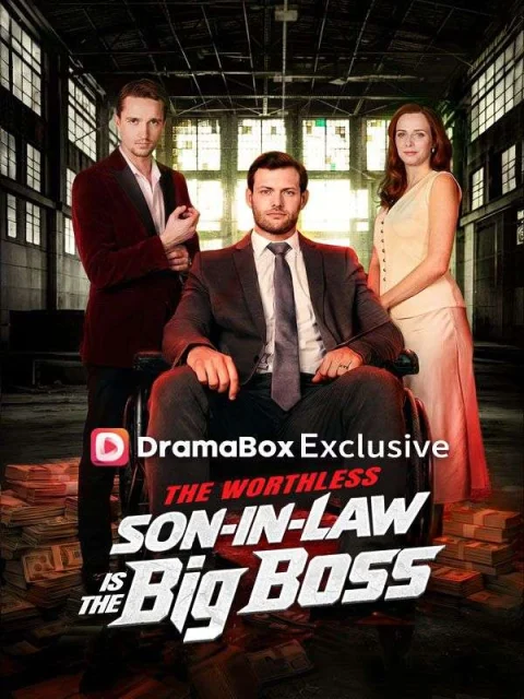 The Worthless Son-in-Law Is The Big Boss