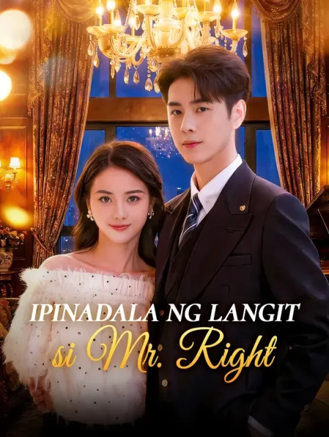 Ipinadala ng Langit si Mr. Right