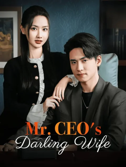 Mr. CEO’s Darling Wife