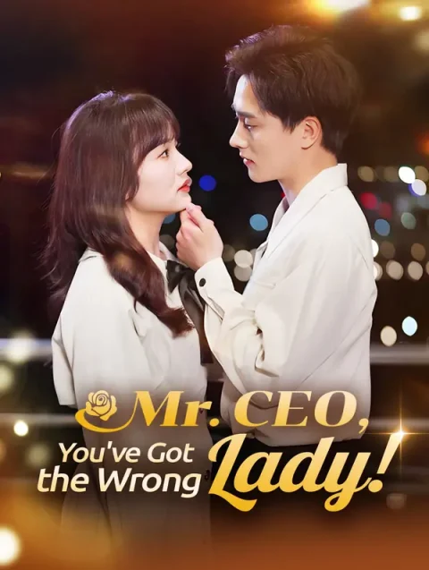 Mr. CEO, You’ve Got the Wrong Lady!