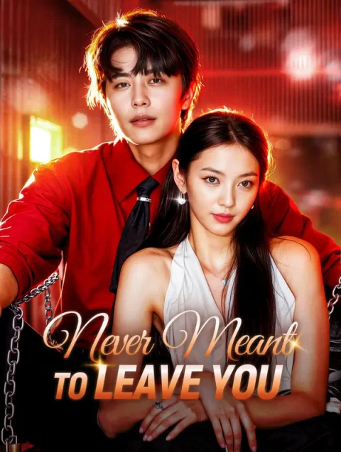 Never Meant to Leave You