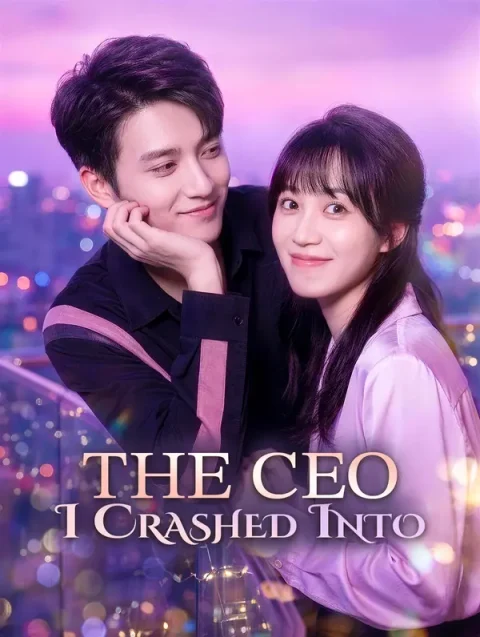 The CEO I Crashed Into