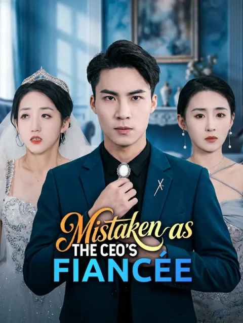 Mistaken as the CEO’s Fiancée