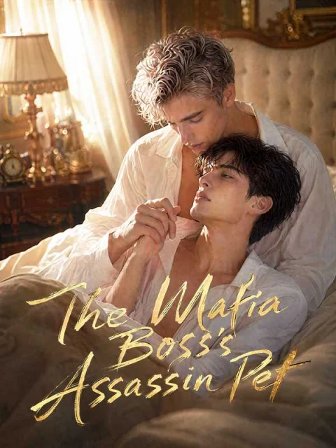 The Mafia Boss’s Assassin Pet
