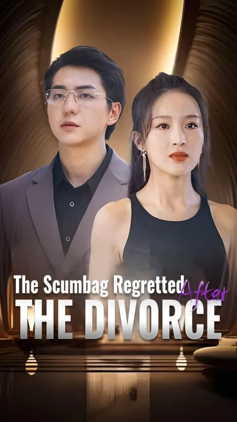The Scumbag Regretted After the Divorce