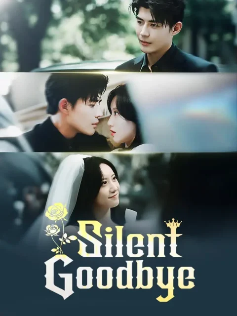 Silent Goodbye