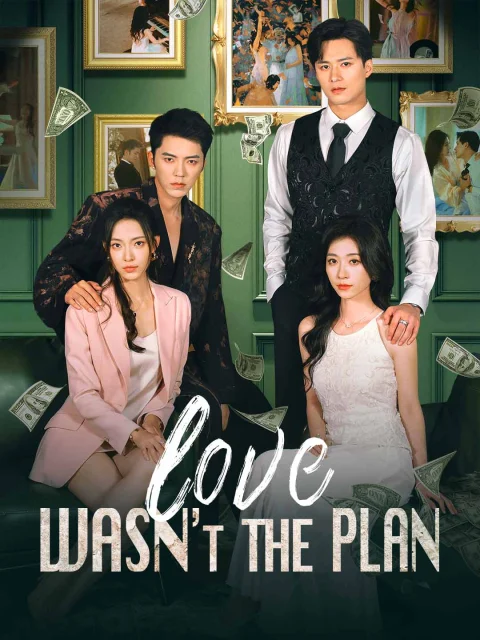 Love Wasn’t the Plan