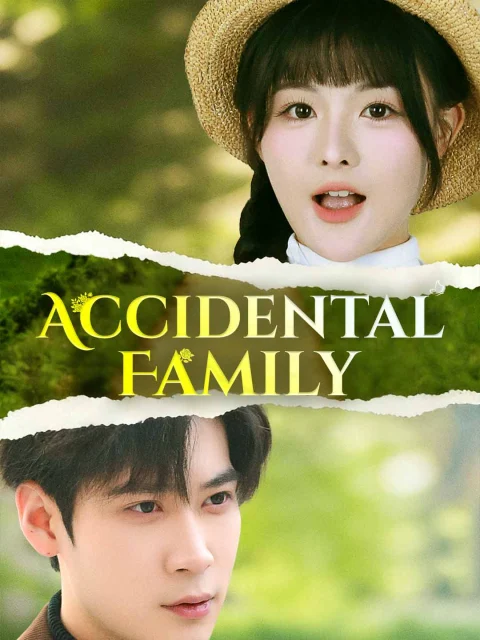 Accidental Family