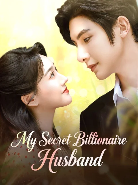 My Secret Billionaire Husband