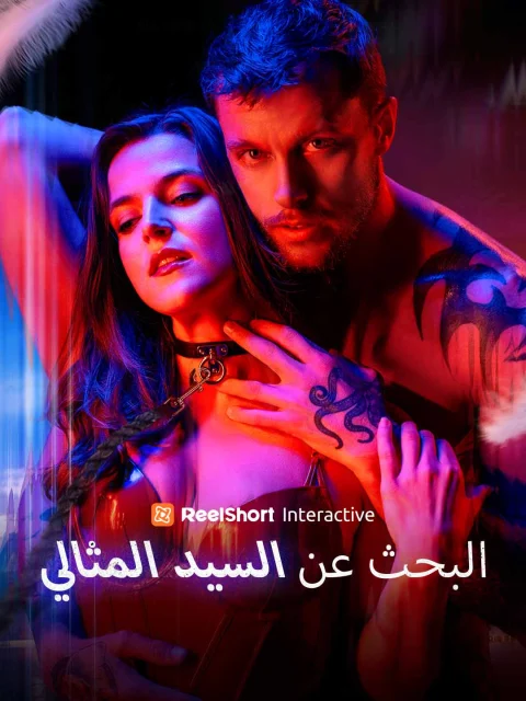 البحث عن السيد المثالي