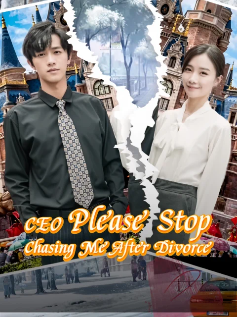 CEO Please Stop Chasing Me After Divorce