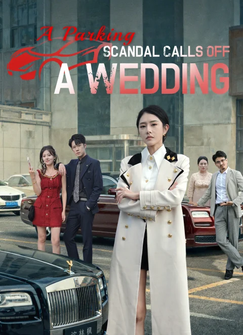A Parking Scandal Calls Off a Wedding Dubbed