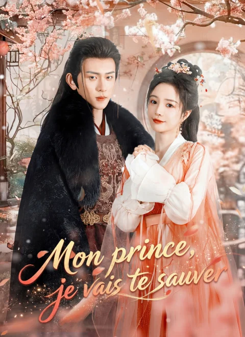 Mon prince, je vais te sauver