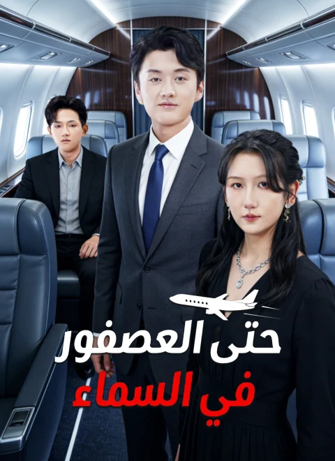 حتى العصفور في السماء مدبلج