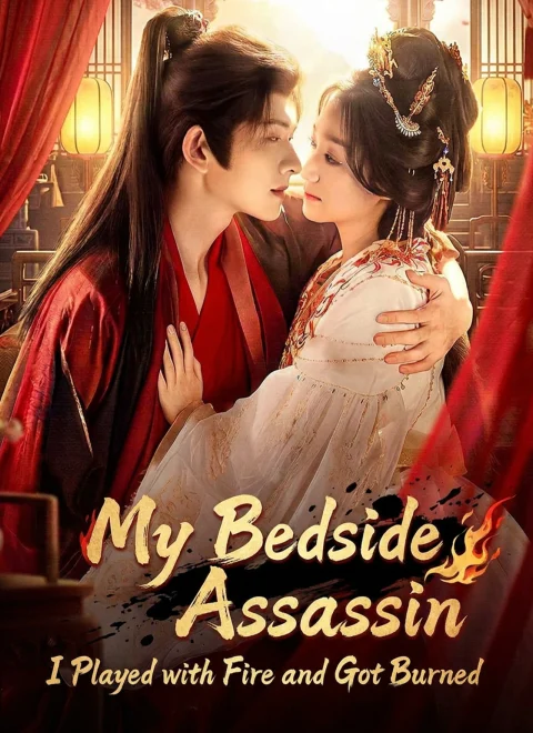 My Bedside Assassin:I Played with Fire and Got Burned
