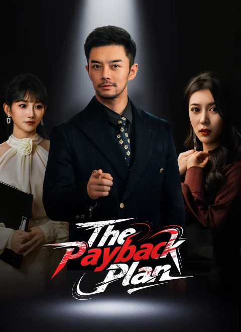 The Payback Plan