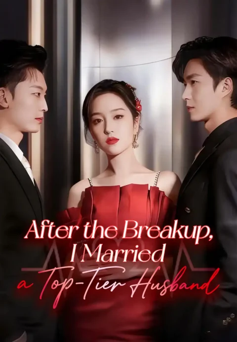 After the Breakup, I Married a Top-Tier Husband