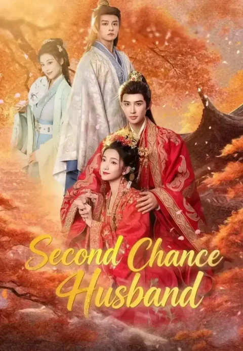 Second Chance Husband