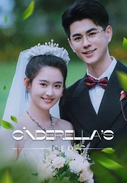 Cinderella’s CEO